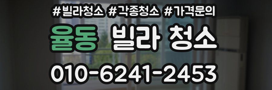 율동 빌라 청소