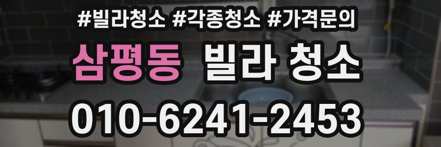 삼평동 빌라 청소