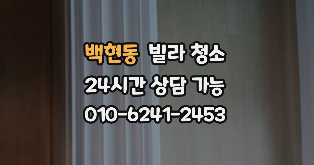 백현동 빌라 청소