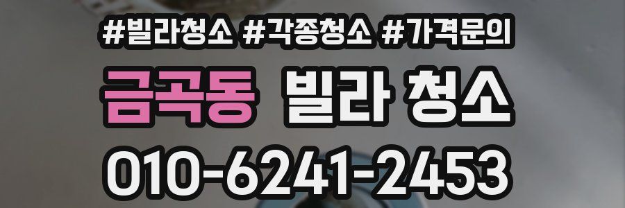 금곡동 빌라 청소