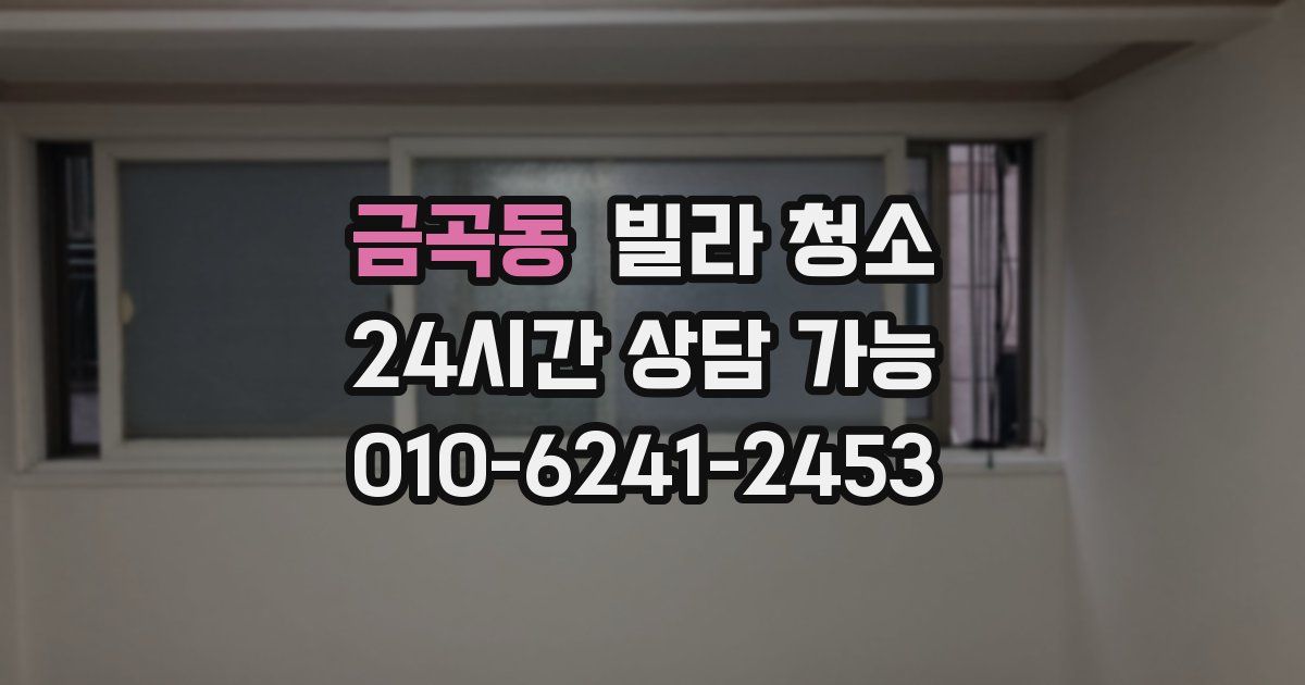 금곡동 빌라 청소