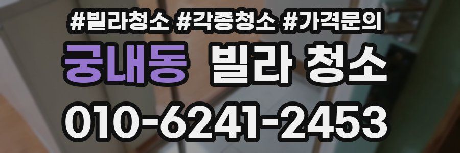 궁내동 빌라 청소