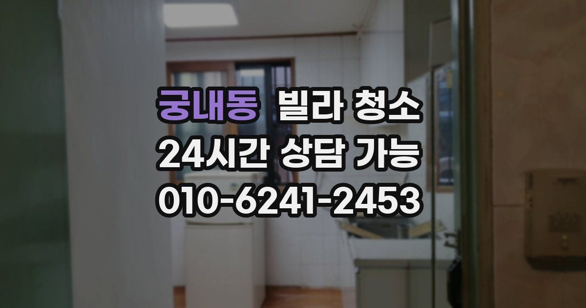 궁내동 빌라 청소