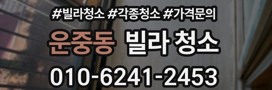 운중동 빌라 청소