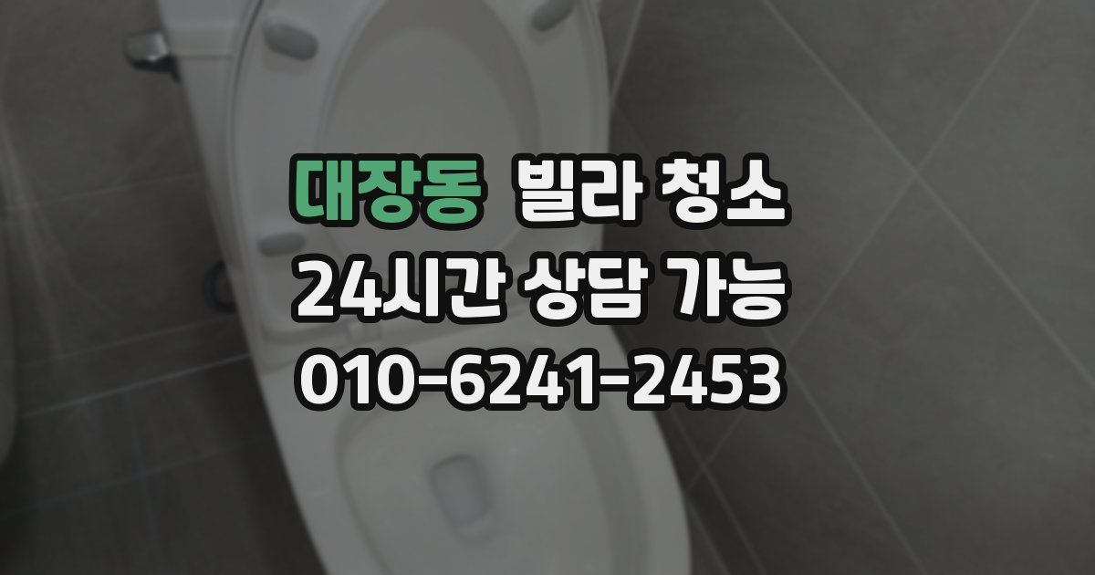 대장동 빌라 청소