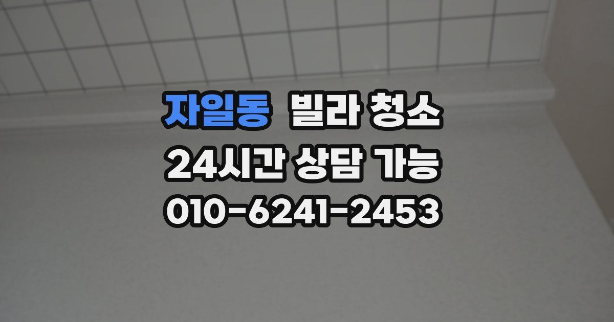 자일동 빌라 청소