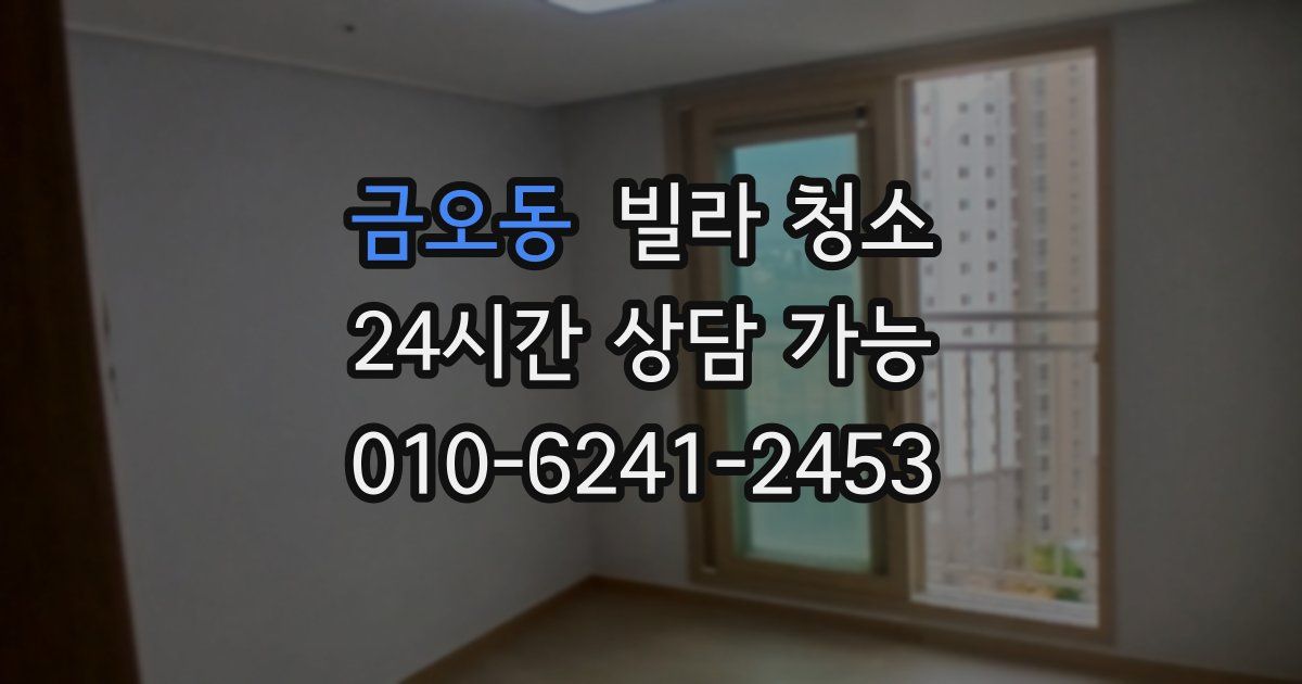 금오동 빌라 청소