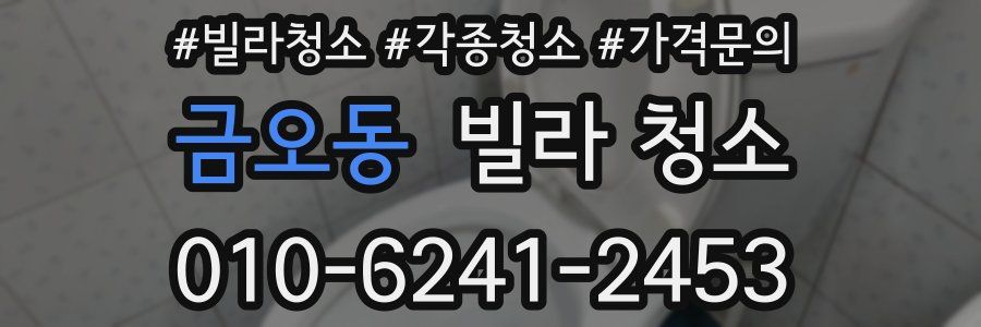 금오동 빌라 청소