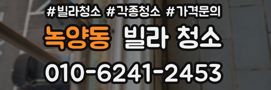 녹양동 빌라 청소