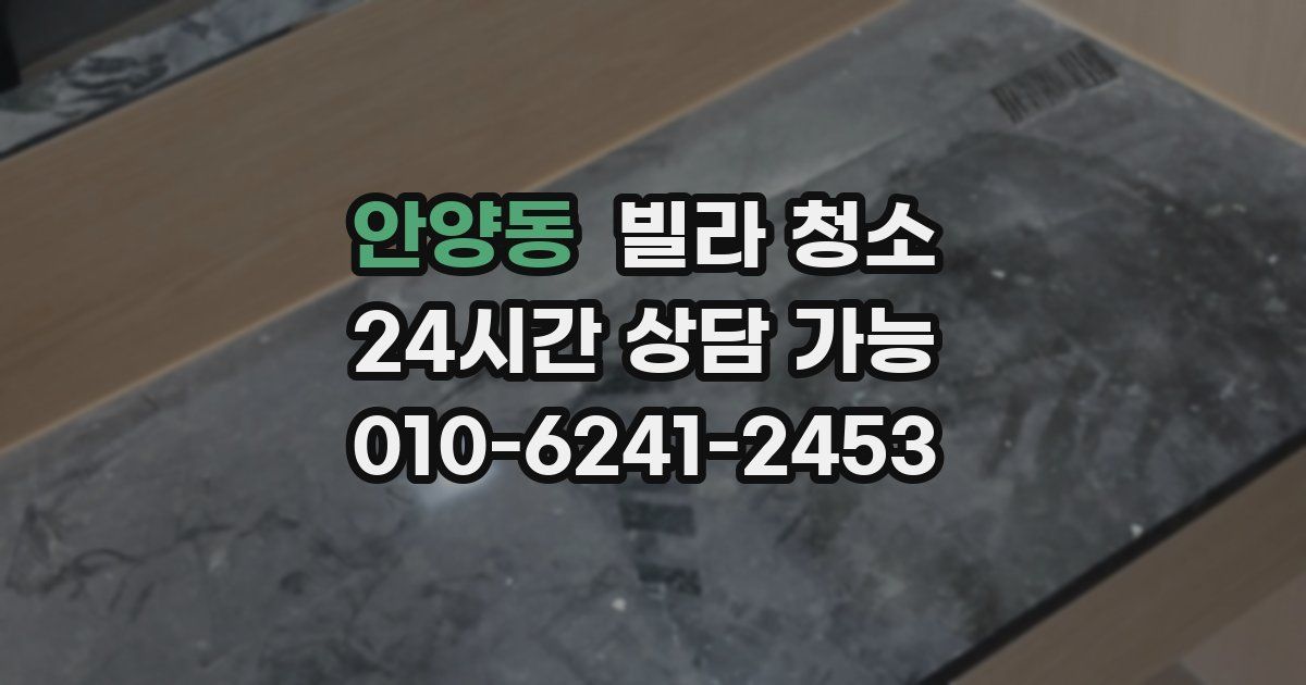안양동 빌라 청소