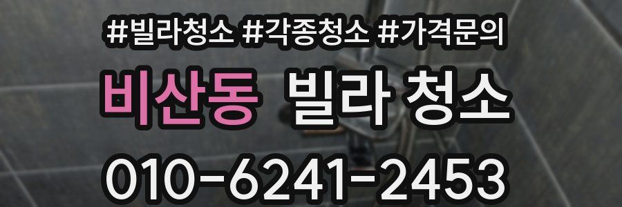 비산동 빌라 청소