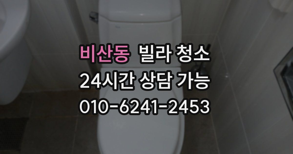 비산동 빌라 청소