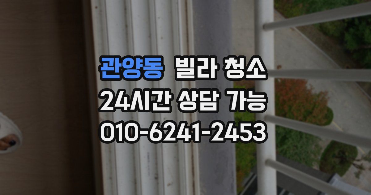 관양동 빌라 청소