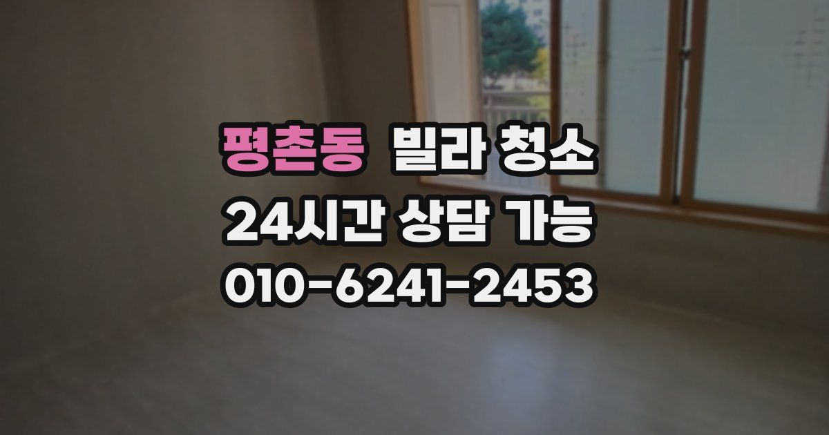 평촌동 빌라 청소