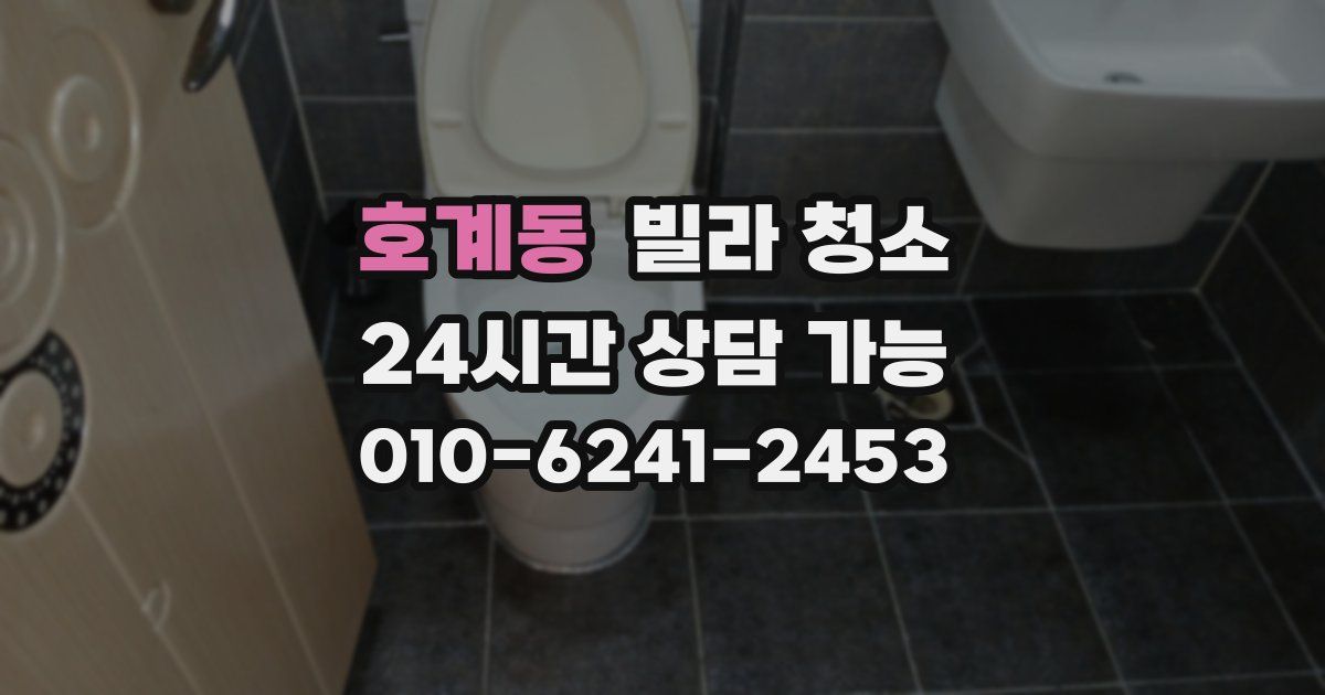 호계동 빌라 청소