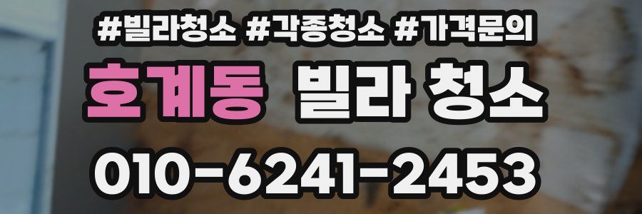 호계동 빌라 청소