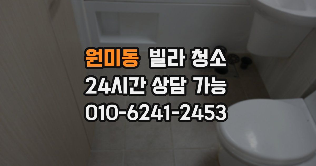 원미동 빌라 청소