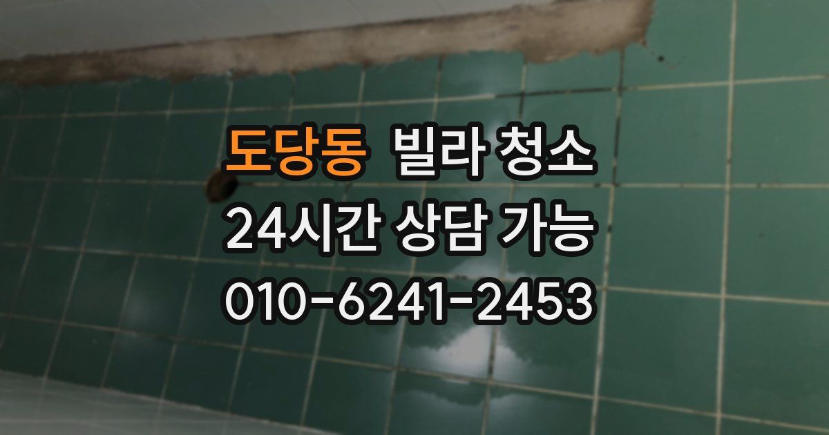 도당동 빌라 청소