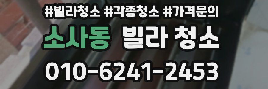 소사동 빌라 청소