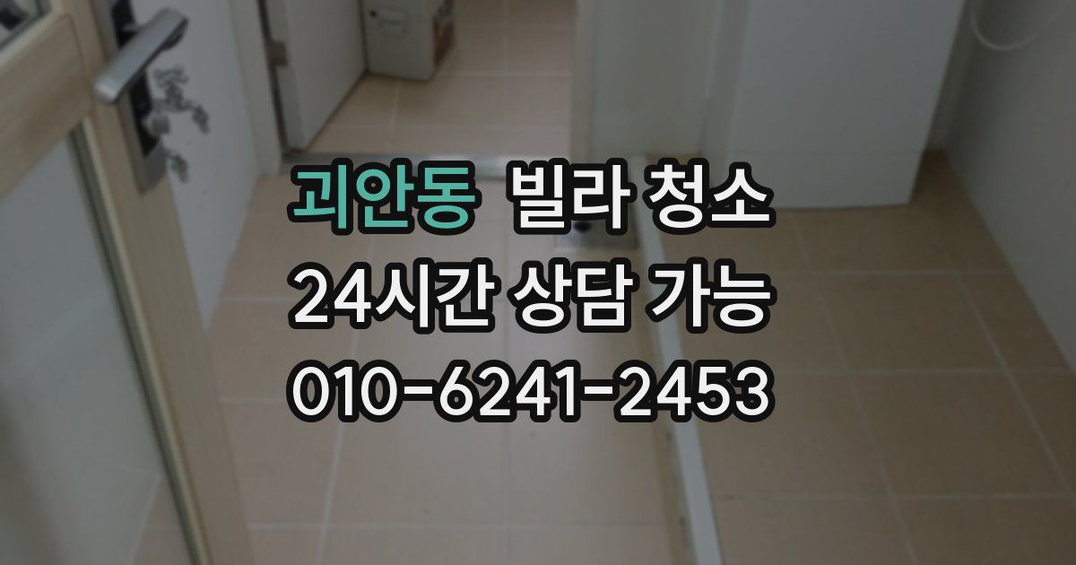 괴안동 빌라 청소