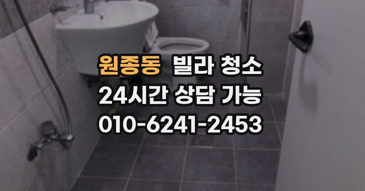 원종동 빌라 청소