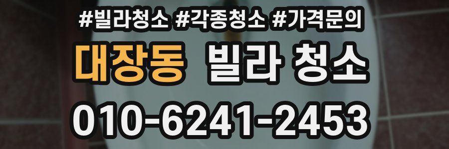 대장동 빌라 청소