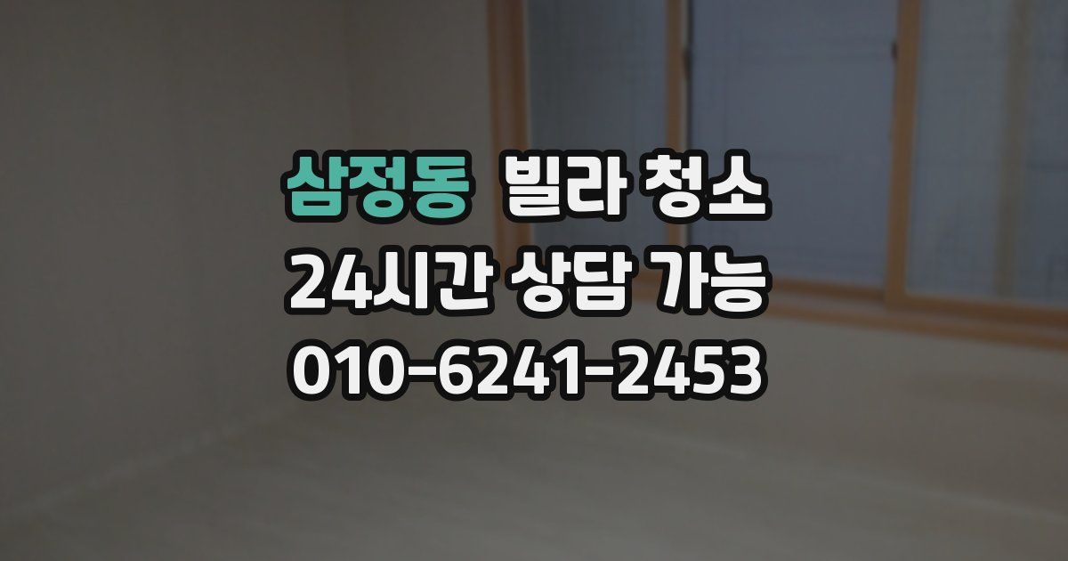 삼정동 빌라 청소