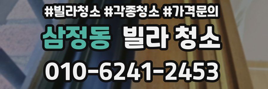 삼정동 빌라 청소