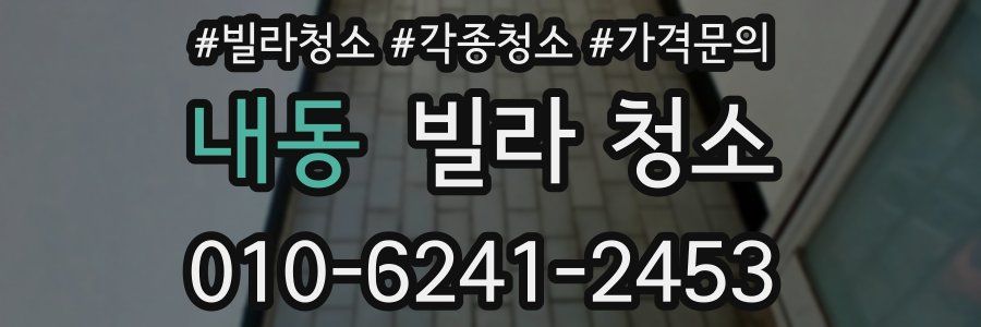 내동 빌라 청소