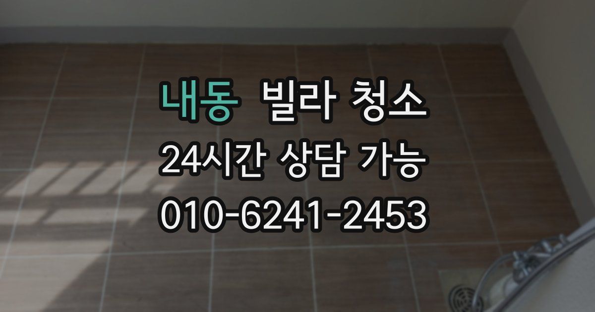 내동 빌라 청소
