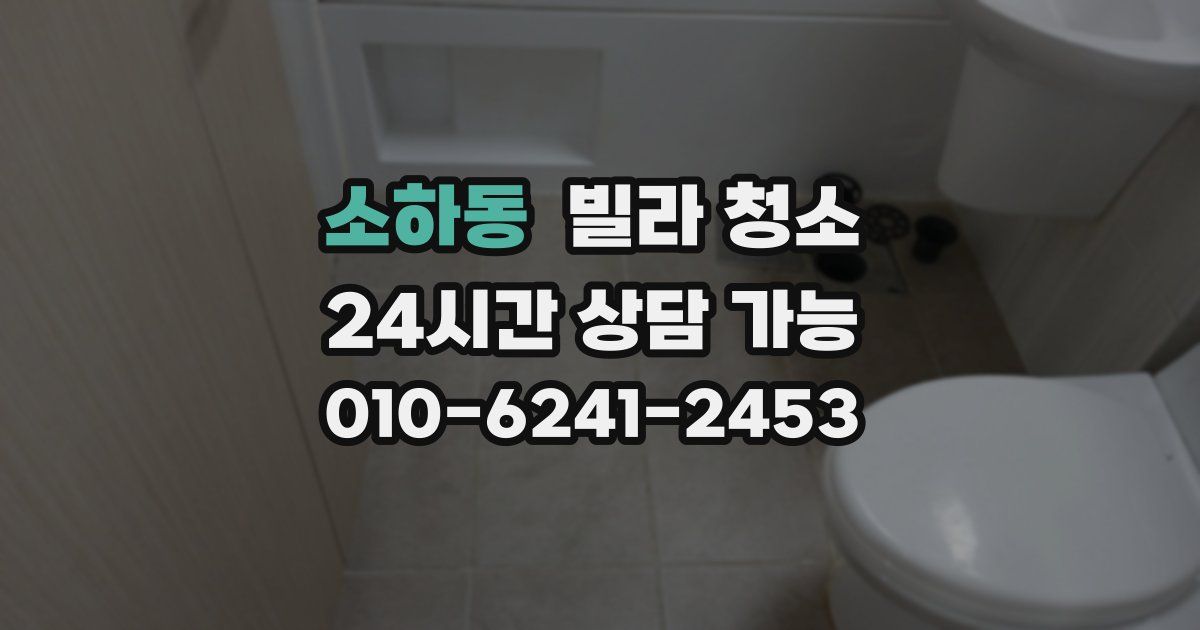 소하동 빌라 청소