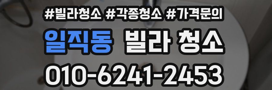 일직동 빌라 청소