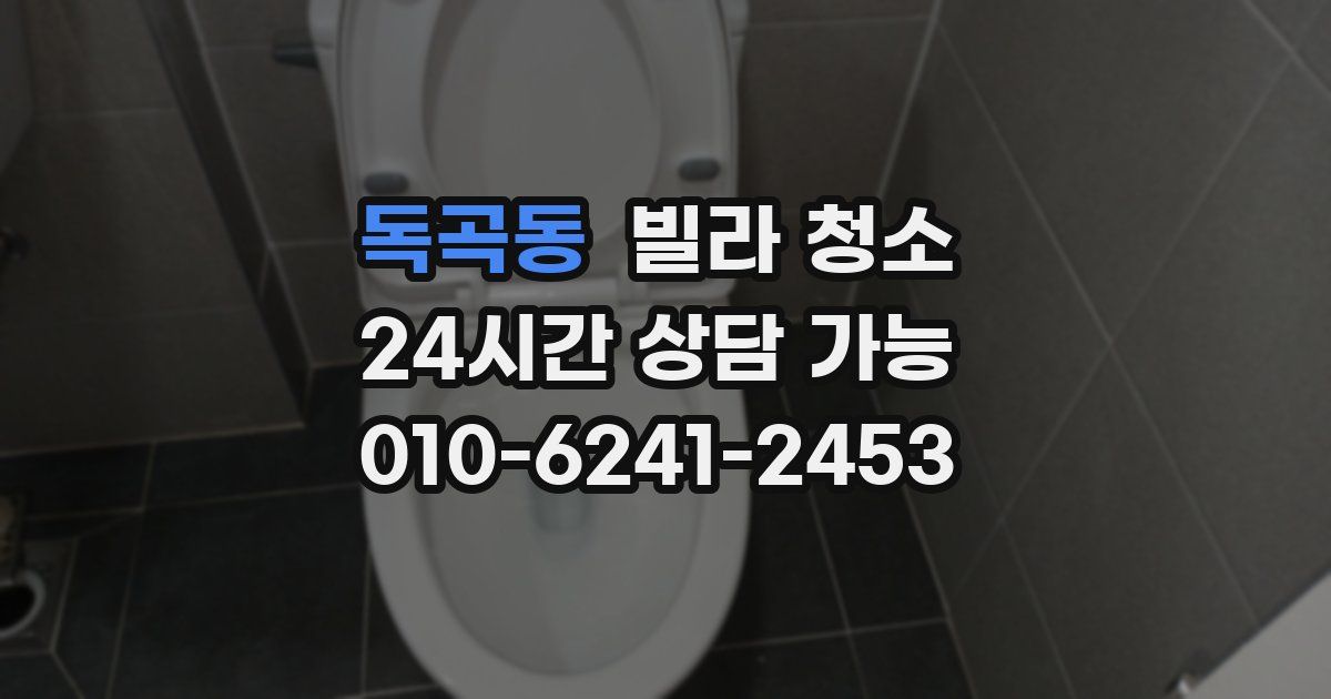 독곡동 빌라 청소