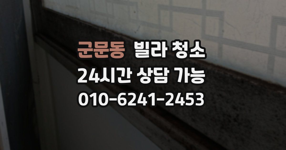군문동 빌라 청소