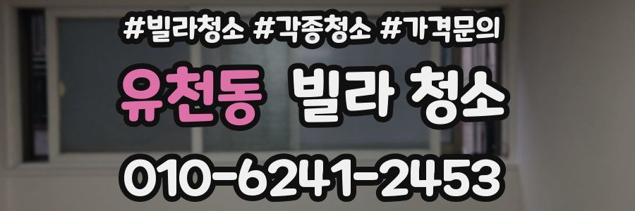 유천동 빌라 청소