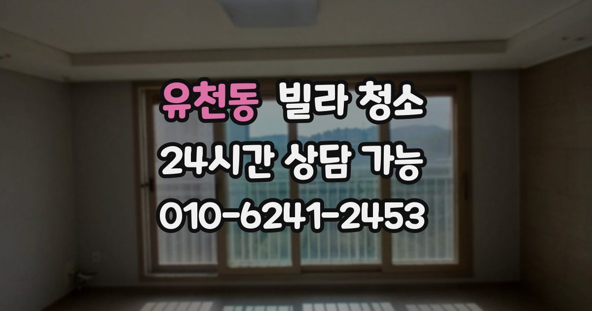 유천동 빌라 청소