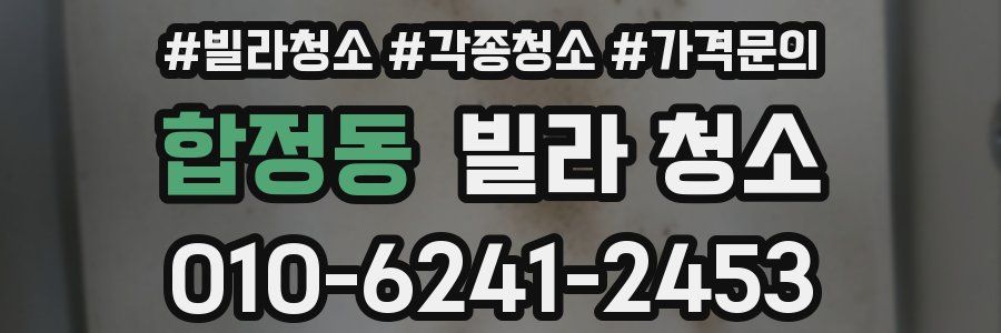 합정동 빌라 청소