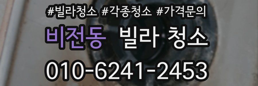 비전동 빌라 청소