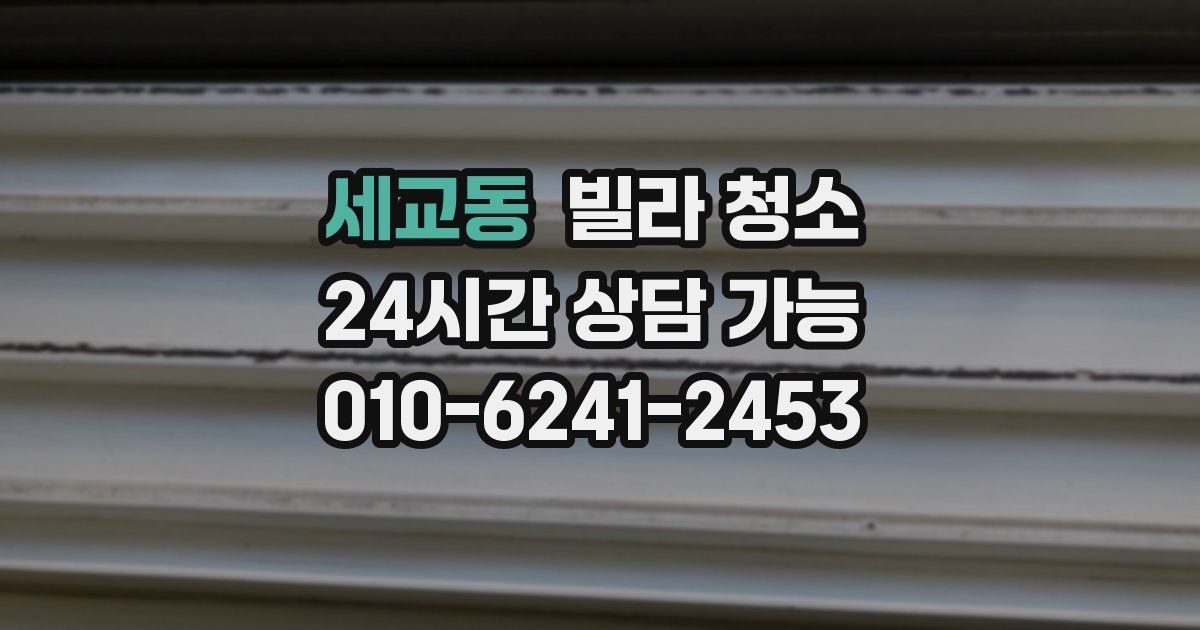 세교동 빌라 청소