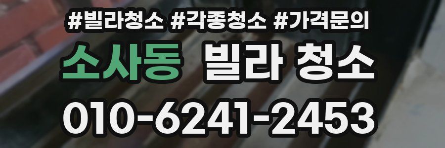 소사동 빌라 청소