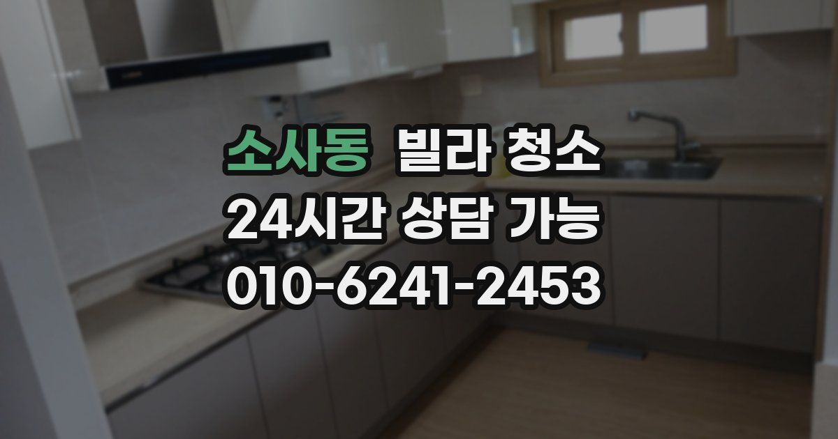 소사동 빌라 청소