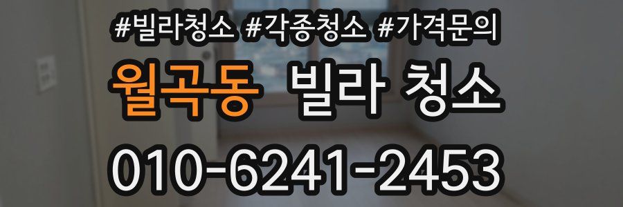 월곡동 빌라 청소