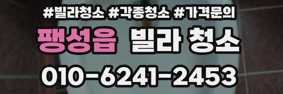 팽성읍 빌라 청소