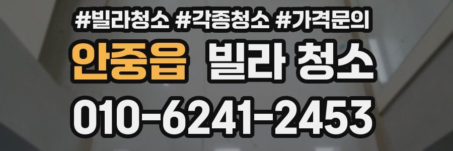 안중읍 빌라 청소