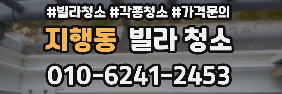 지행동 빌라 청소