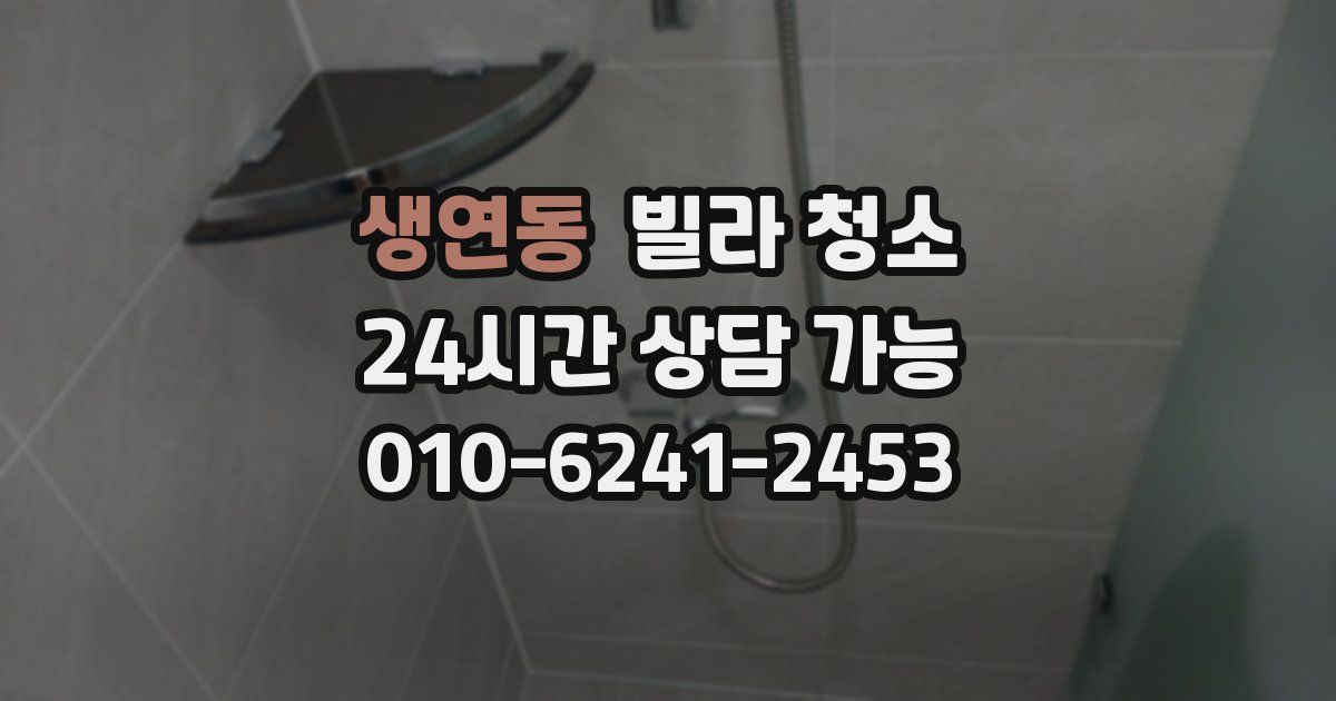 생연동 빌라 청소