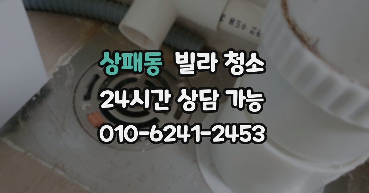 상패동 빌라 청소