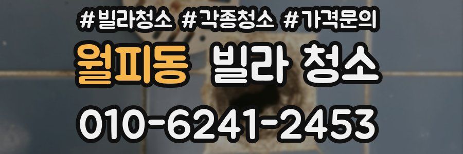 월피동 빌라 청소