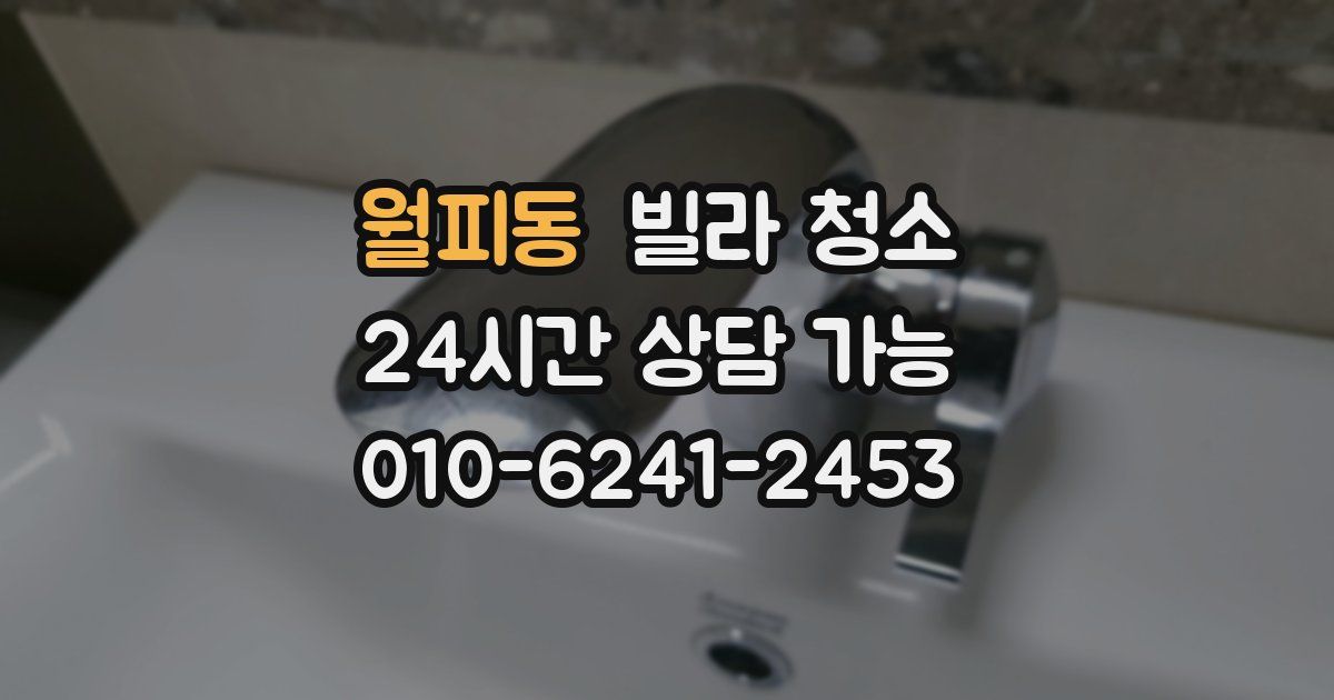 월피동 빌라 청소