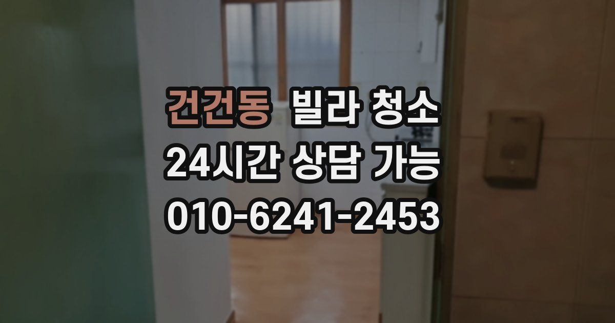 건건동 빌라 청소